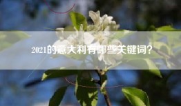 2021的意大利有哪些关键词？