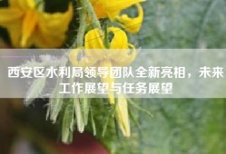 西安区水利局领导团队全新亮相，未来工作展望与任务展望