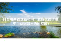 抖音电商管理新动向：赵睿统管AB组，中小商家如何协同发展？