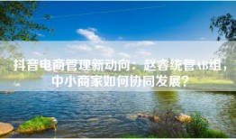 抖音电商管理新动向：赵睿统管AB组，中小商家如何协同发展？