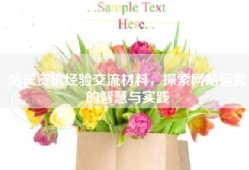 站长资讯经验交流材料，探索网站运营的智慧与实践