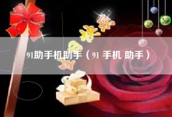 91助手机助手（91 手机 助手）