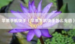 苹果手机快手（苹果手机快手怎么充值）