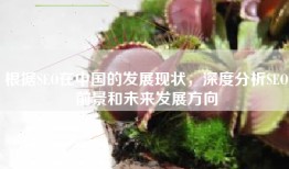 根据SEO在中国的发展现状，深度分析SEO前景和未来发展方向
