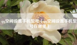 qq空间设置手机型号（qq空间设置手机型号在哪里）