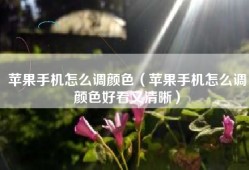 苹果手机怎么调颜色（苹果手机怎么调颜色好看又清晰）