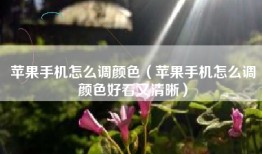苹果手机怎么调颜色（苹果手机怎么调颜色好看又清晰）