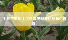 手机来电短（手机来电短信回复怎么设置）