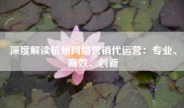 深度解读杭州网络营销代运营：专业、高效、创新