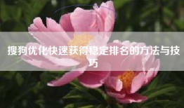 搜狗优化快速获得稳定排名的方法与技巧