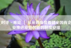 时评·来论 ｜ 从采购角度看健全国有企业推进原始创新的制度安排