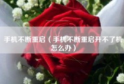 手机不断重启（手机不断重启开不了机怎么办）
