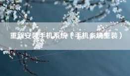 重新安装手机系统（手机糸统重装）