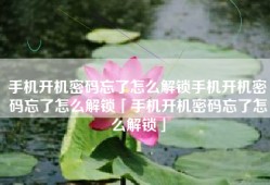 手机开机密码忘了怎么解锁手机开机密码忘了怎么解锁「手机开机密码忘了怎么解锁」