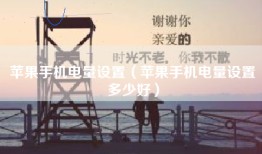 苹果手机电量设置（苹果手机电量设置多少好）