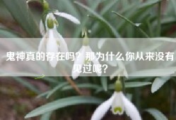 鬼神真的存在吗？那为什么你从来没有见过呢？