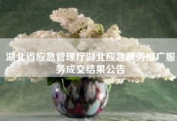 湖北省应急管理厅湖北应急政务推广服务成交结果公告