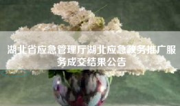 湖北省应急管理厅湖北应急政务推广服务成交结果公告