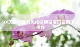 SEO关键词排名优化做到百度首页的核心操作
