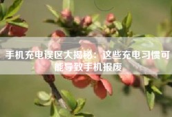 手机充电误区大揭秘：这些充电习惯可能导致手机报废