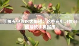 手机充电误区大揭秘：这些充电习惯可能导致手机报废