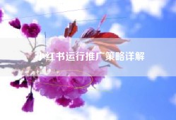小红书运行推广策略详解