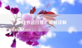 小红书运行推广策略详解
