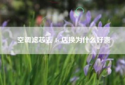 空调滤芯去 4s 店换为什么好贵