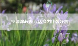 空调滤芯去 4s 店换为什么好贵