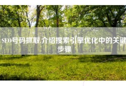 SEO号码抓取,介绍搜索引擎优化中的关键步骤