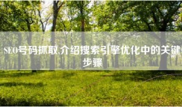 SEO号码抓取,介绍搜索引擎优化中的关键步骤