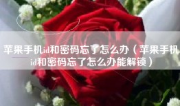 苹果手机id和密码忘了怎么办（苹果手机id和密码忘了怎么办能解锁）