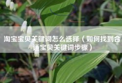 淘宝宝贝关键词怎么选择（如何找到合适宝贝关键词步骤）
