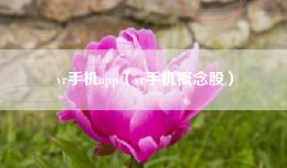 vr手机app（vr手机概念股）