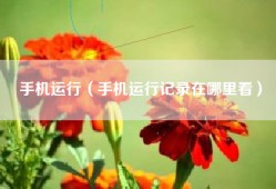手机运行（手机运行记录在哪里看）