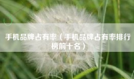 手机品牌占有率（手机品牌占有率排行榜前十名）