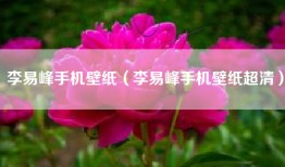 李易峰手机壁纸（李易峰手机壁纸超清）
