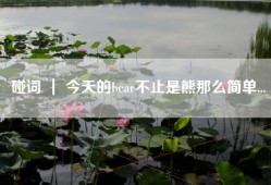 碰词 ｜ 今天的bear不止是熊那么简单...