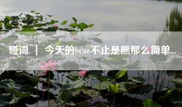 碰词 ｜ 今天的bear不止是熊那么简单...
