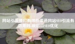 网站引流推广有哪些渠道网站SEO引流有效果吗-峨眉山SEO优化