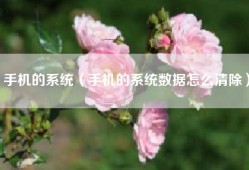 手机的系统（手机的系统数据怎么清除）