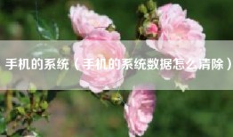 手机的系统（手机的系统数据怎么清除）
