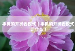 手机的开发者模式（手机的开发者模式是什么）