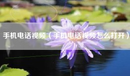 手机电话视频（手机电话视频怎么打开）