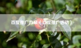 百度推广方案（百度推广活动）
