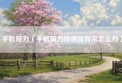手机磁力（手机磁力传感器异常怎么办）