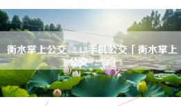 衡水掌上公交  2.4.8手机公交「衡水掌上公交  2.4.8」