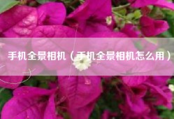 手机全景相机（手机全景相机怎么用）