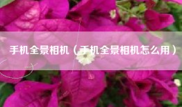 手机全景相机（手机全景相机怎么用）