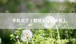 手机火了（曾经火过的手机）